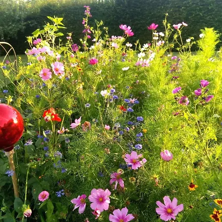 Seenah - Ihre Am Bodensee / Untersee ガイエンホーフェン